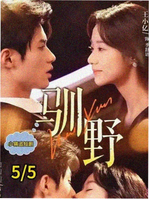 北纬三十度的信 电视剧在线观看封面